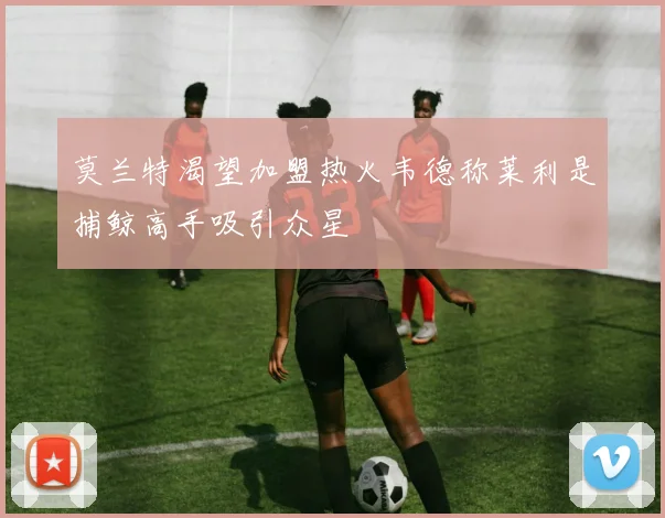 莫兰特渴望加盟热火韦德称莱利是捕鲸高手吸引众星
